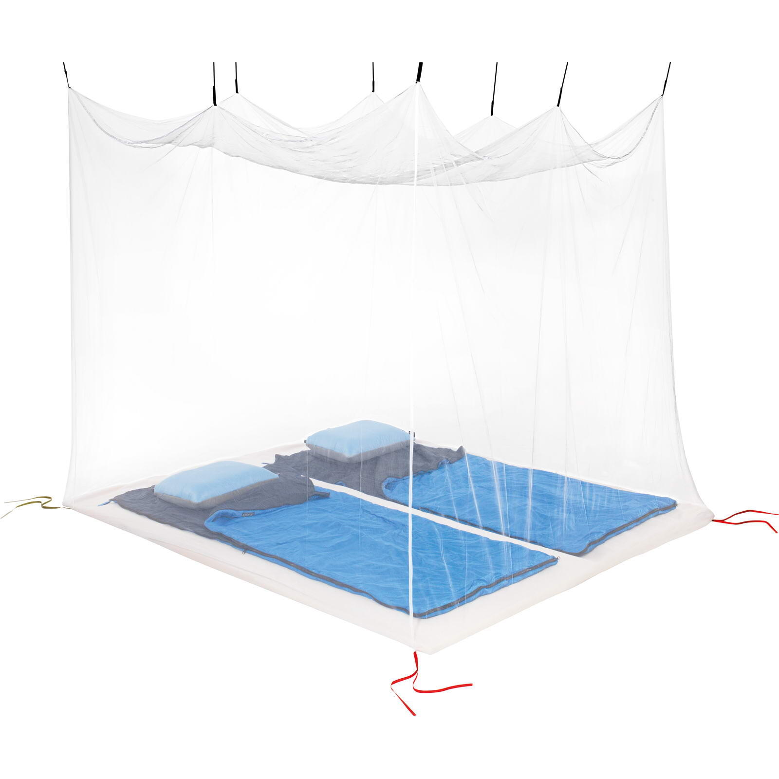COCOON picture