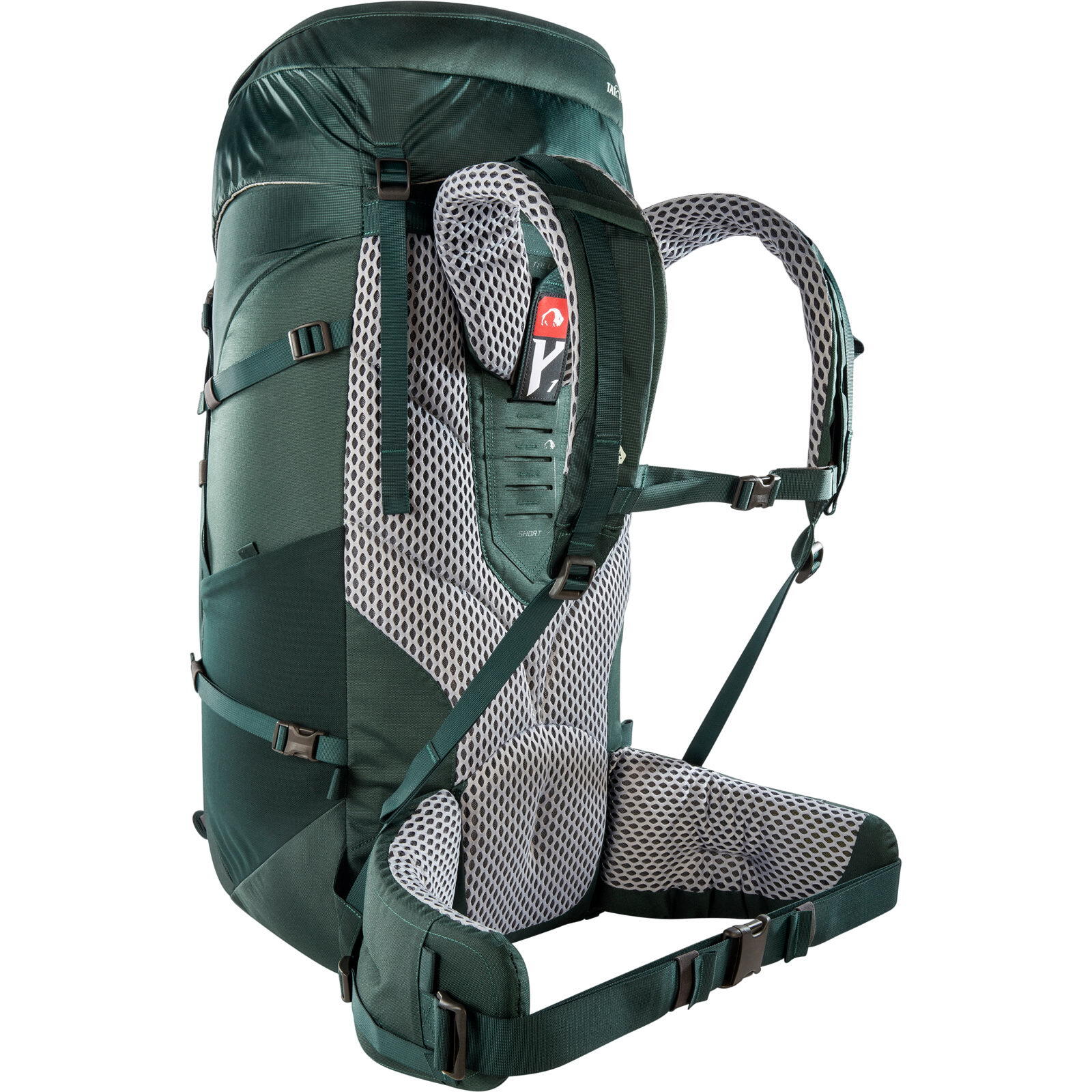 Trekkingrucksack Noras 65+10 jasper 2/7