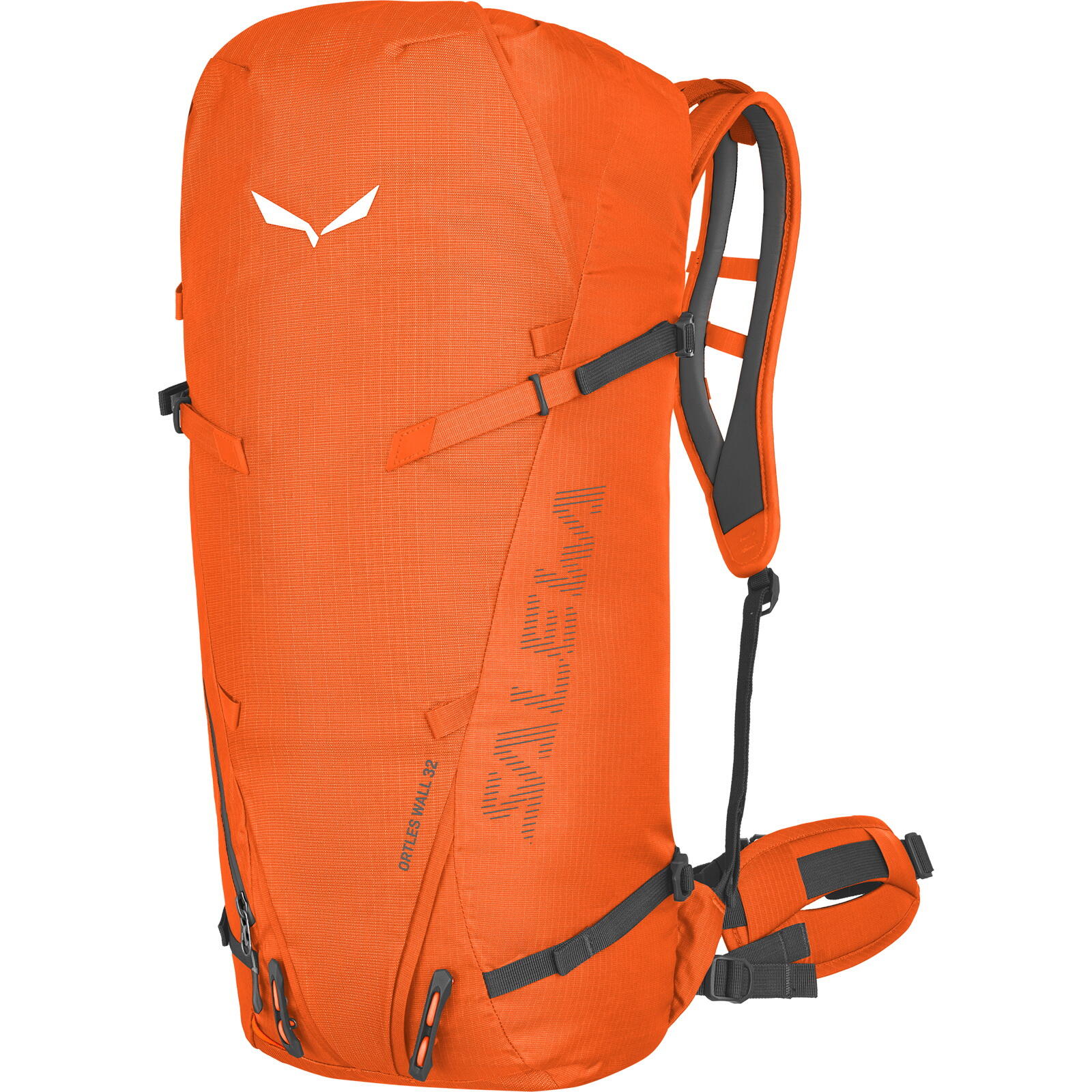 SALEWA picture