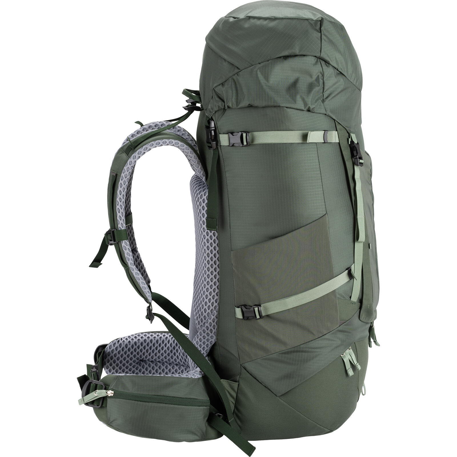 Trekkingrucksack Daydream 62 kombu green 3/7