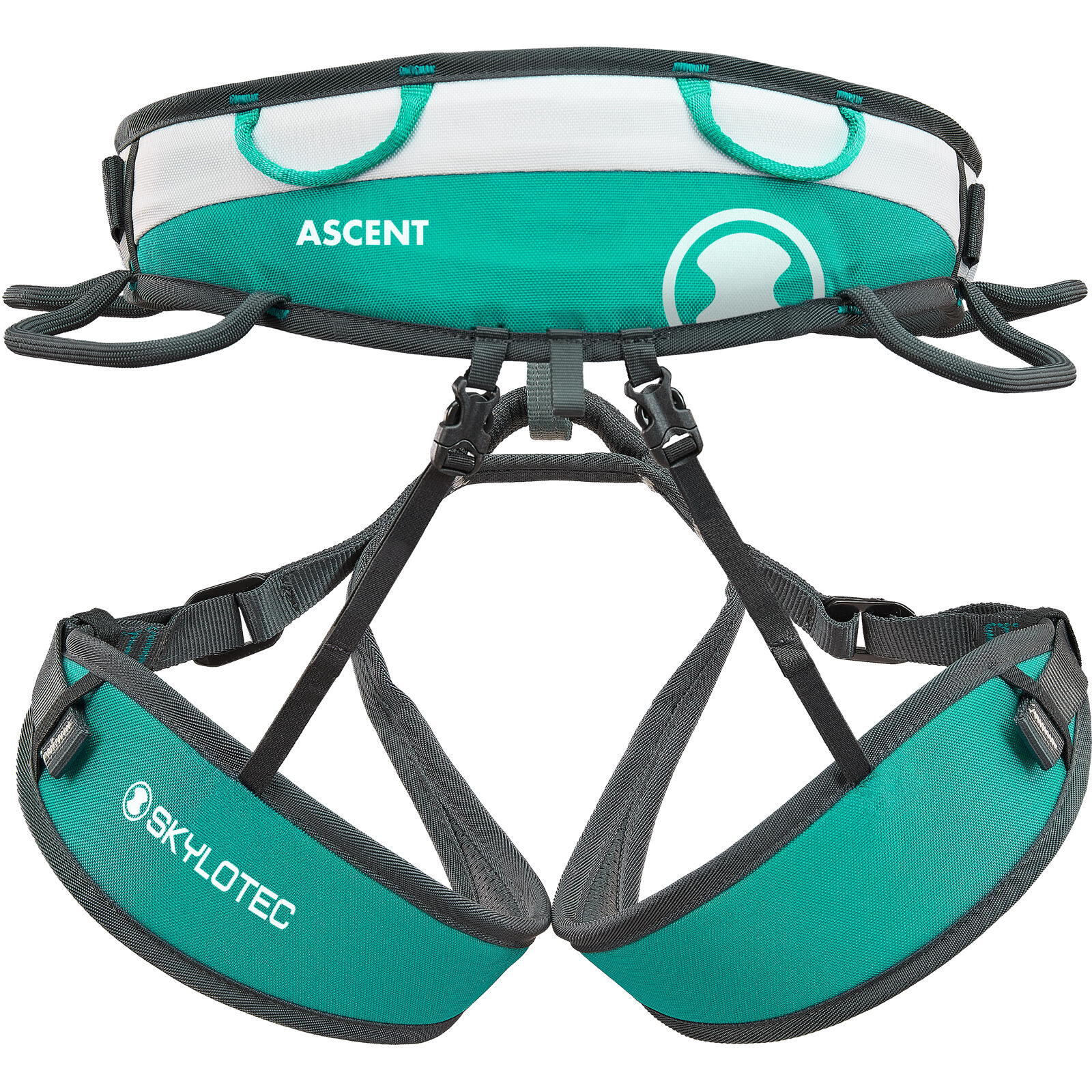 Klettergurt Ascent aquamarine-silvergrey 2/4