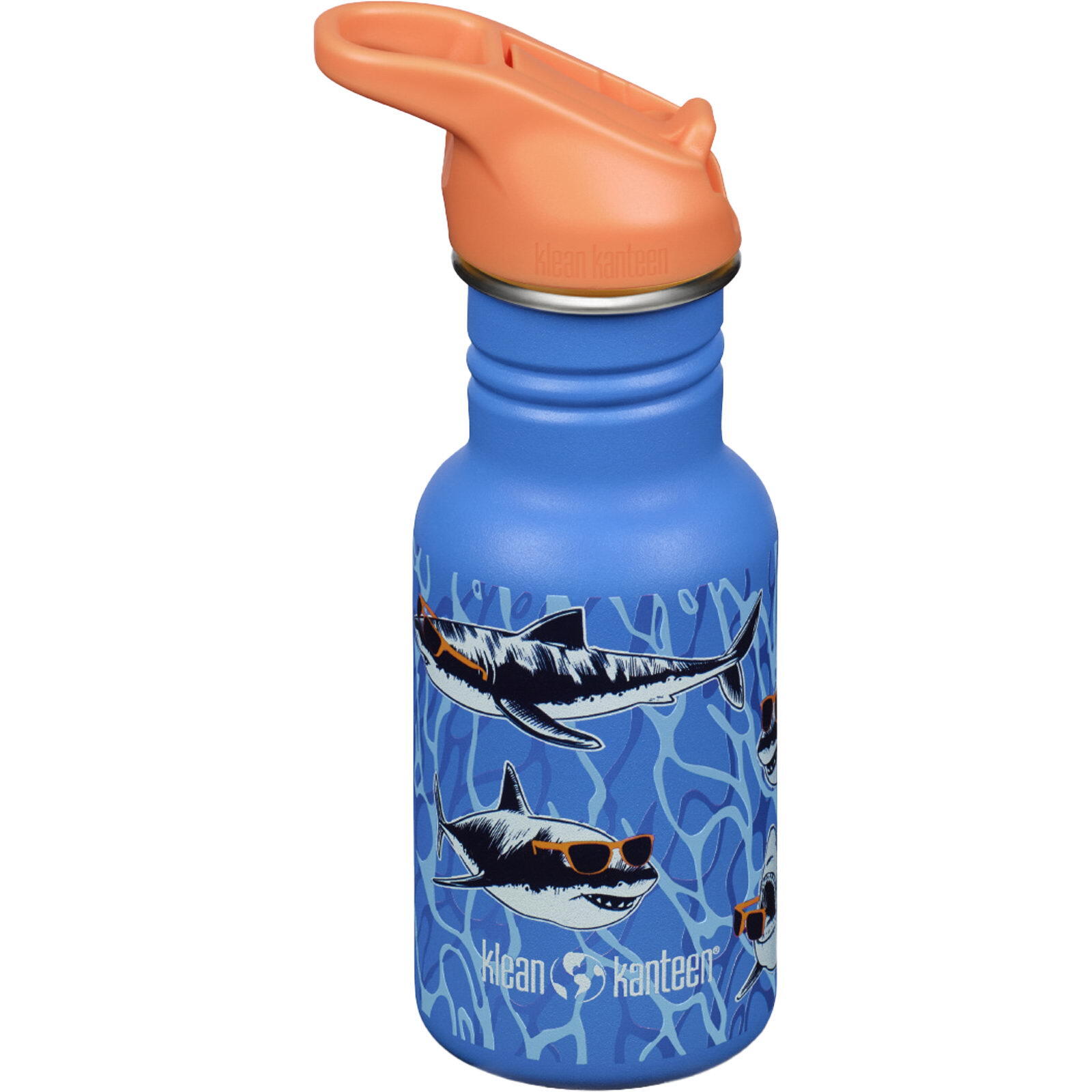 KLEAN KANTEEN picture