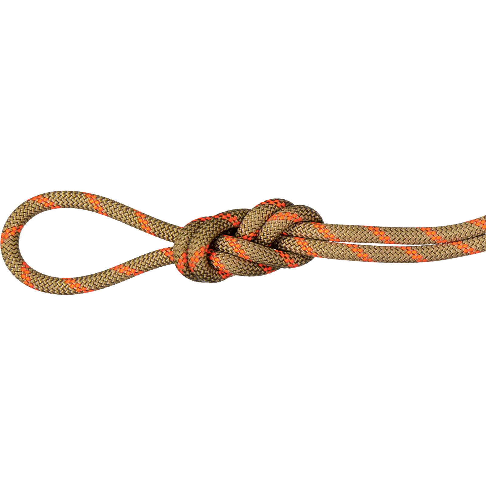 MAMMUT picture
