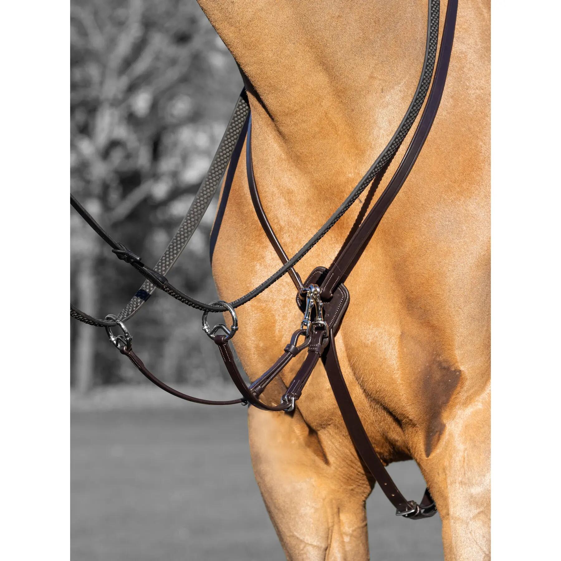 Martingale pour cheval Premier Equine Fuscaldo PREMIER EQUINE