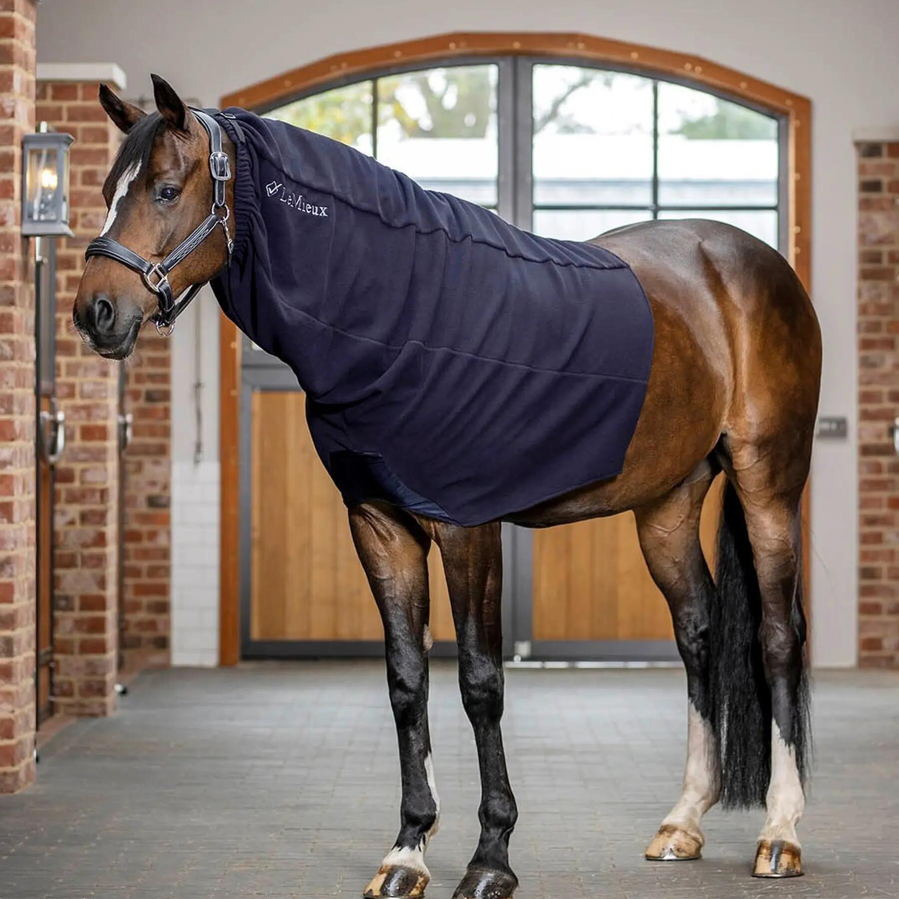 Paardendeken LeMieux Arika 2/2