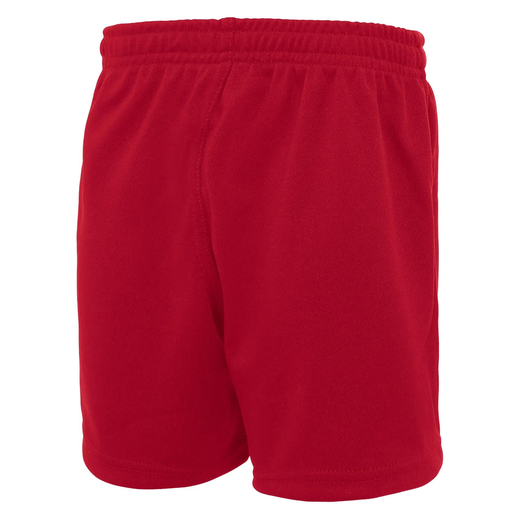 Short Macron Amethyst Hero 4/6