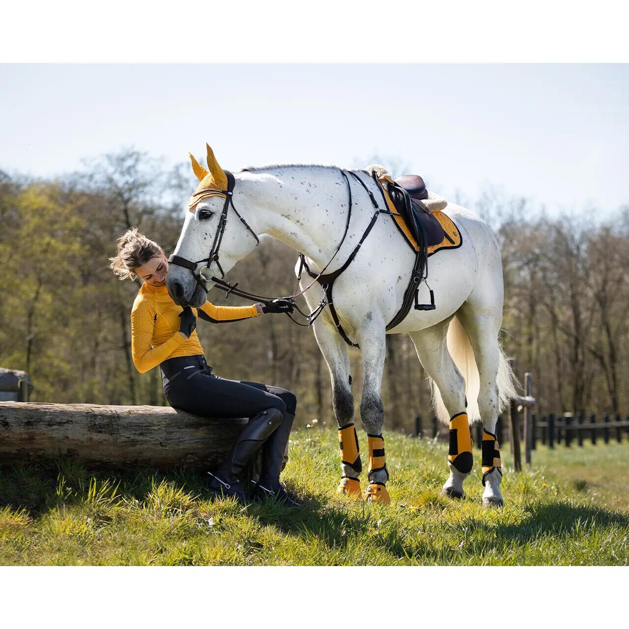 Guêtres de cross postérieurs pour cheval fermées QHP Technical 2/2