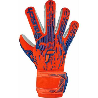 Guanti portiere Reusch Attrakt Freegel Silver