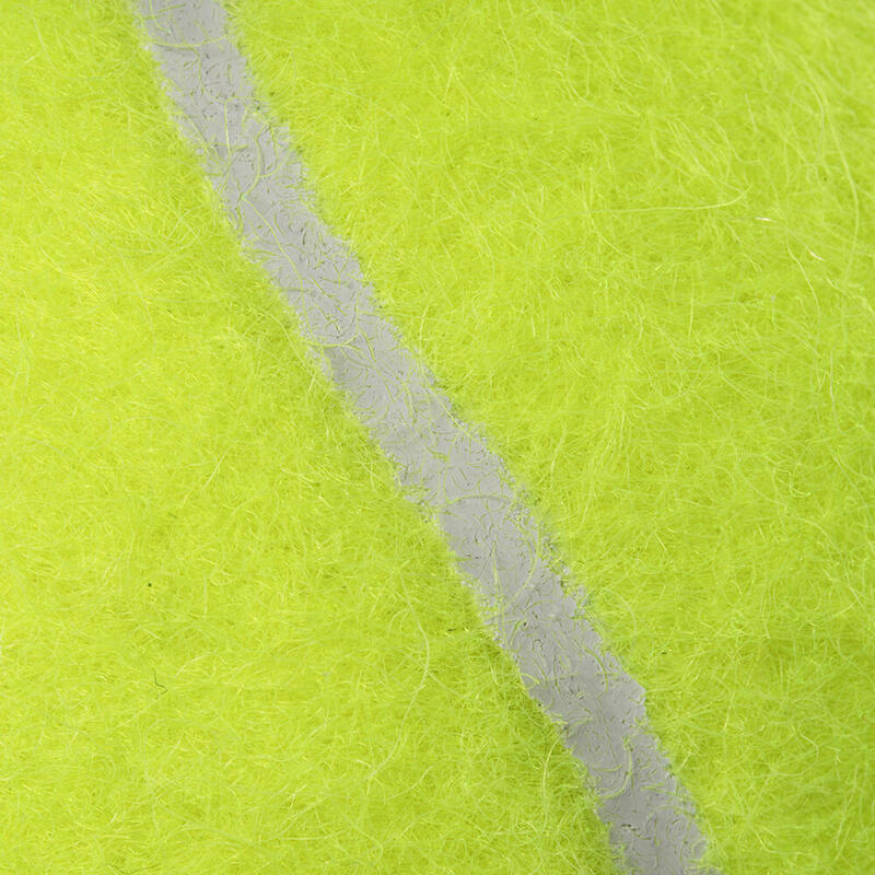 USR Focus Tenis Topu 24 Kutu