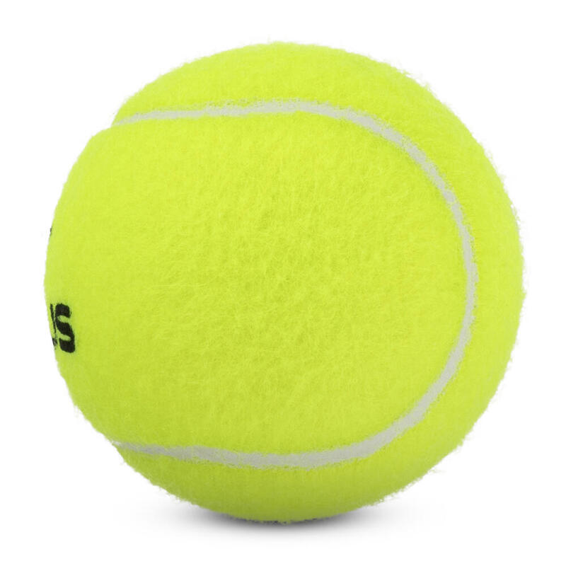 USR Focus Tenis Topu 12 Kutu