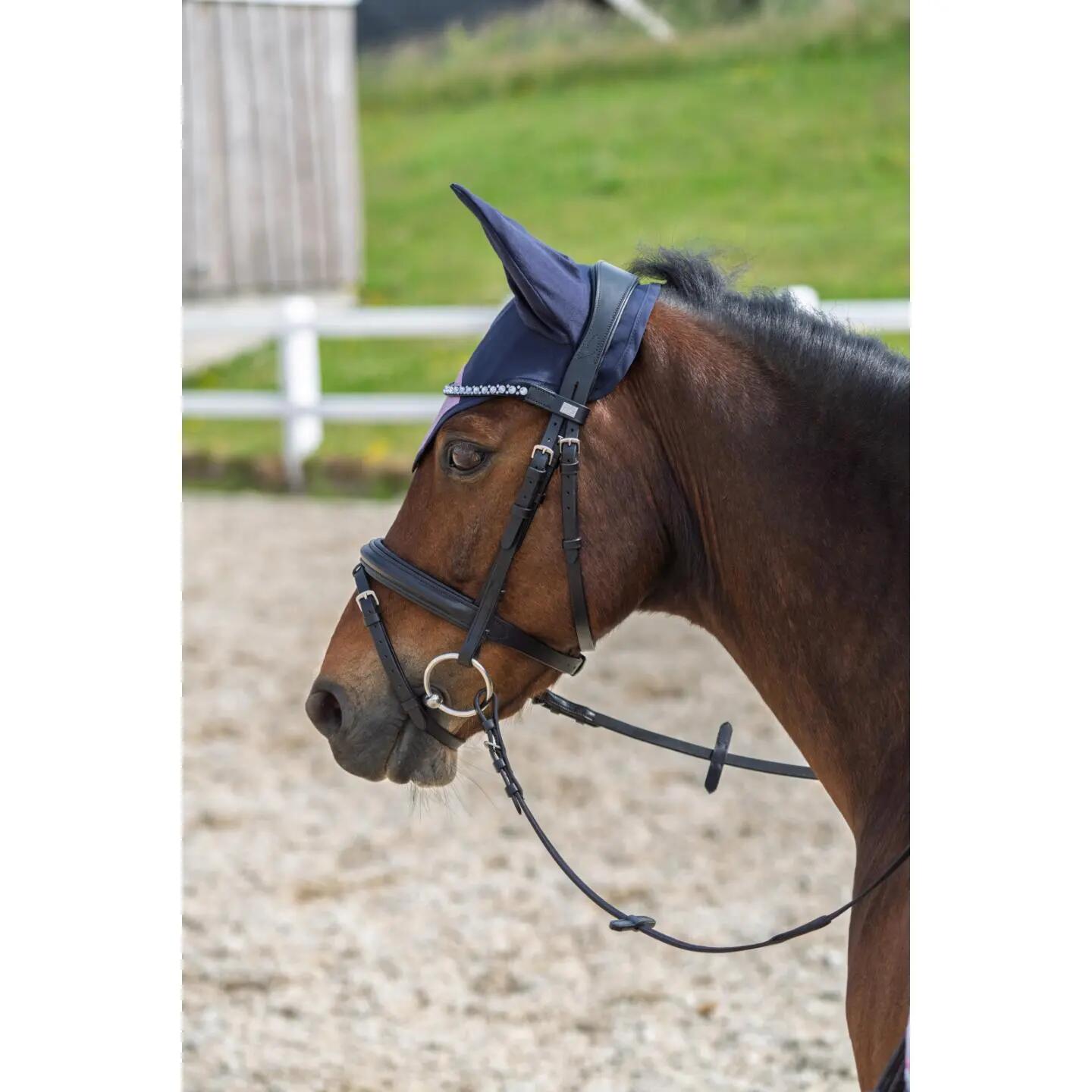 Cuffietta corta per cavalli HorseGuard Glitter 2/3
