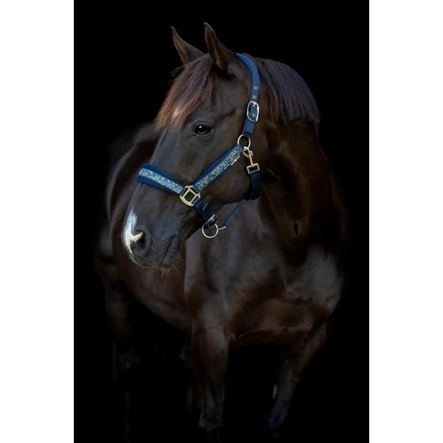 Licol pour cheval nylon HorseGuard Angel 3/5
