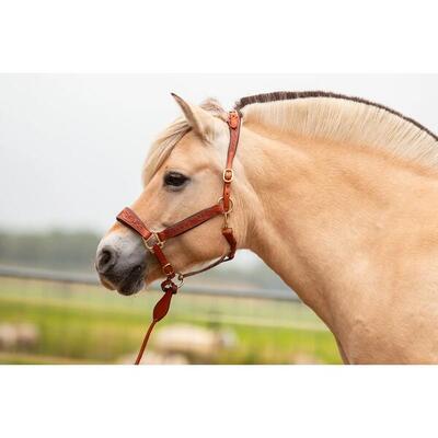 Cavezza in cuoio Edix Saddles Kaily