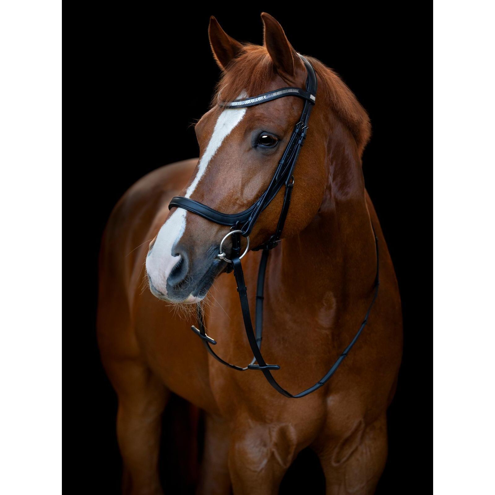 Correa de equitación anatómica HorseGuard Tine 2/2
