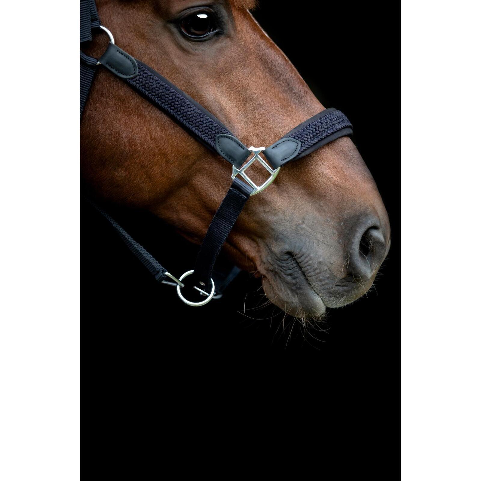 Licol pour cheval tressé HorseGuard Vardia 3/5