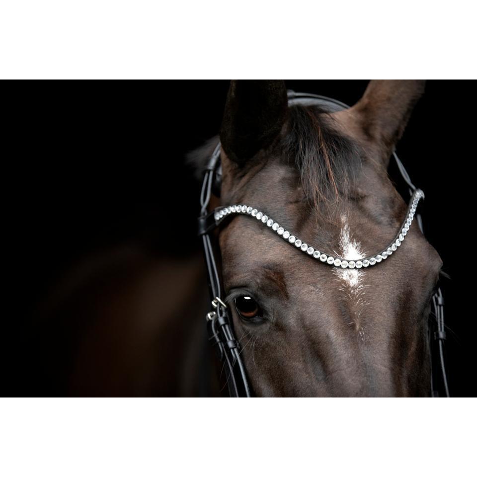 Frontal para caballo Catago Gentle 3/3