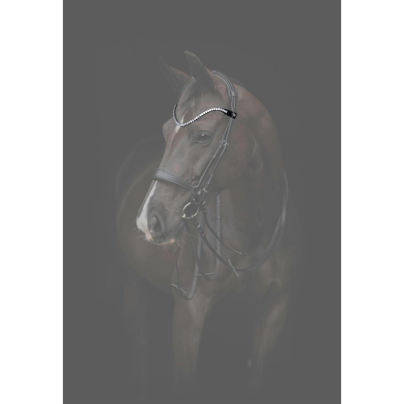 Frontal para caballo Catago Gentle 2/3