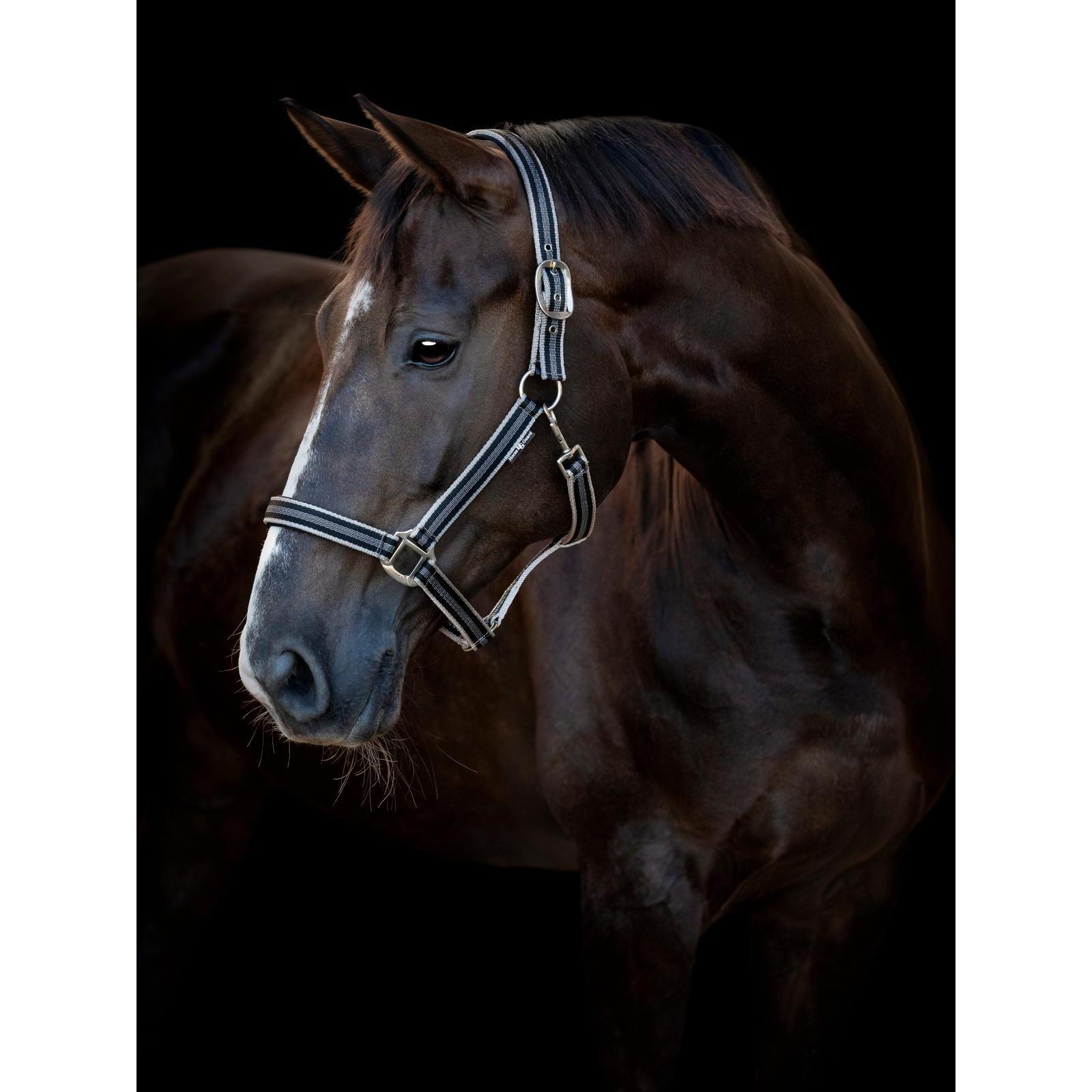Kantar dla koni HorseGuard Taro 2/2