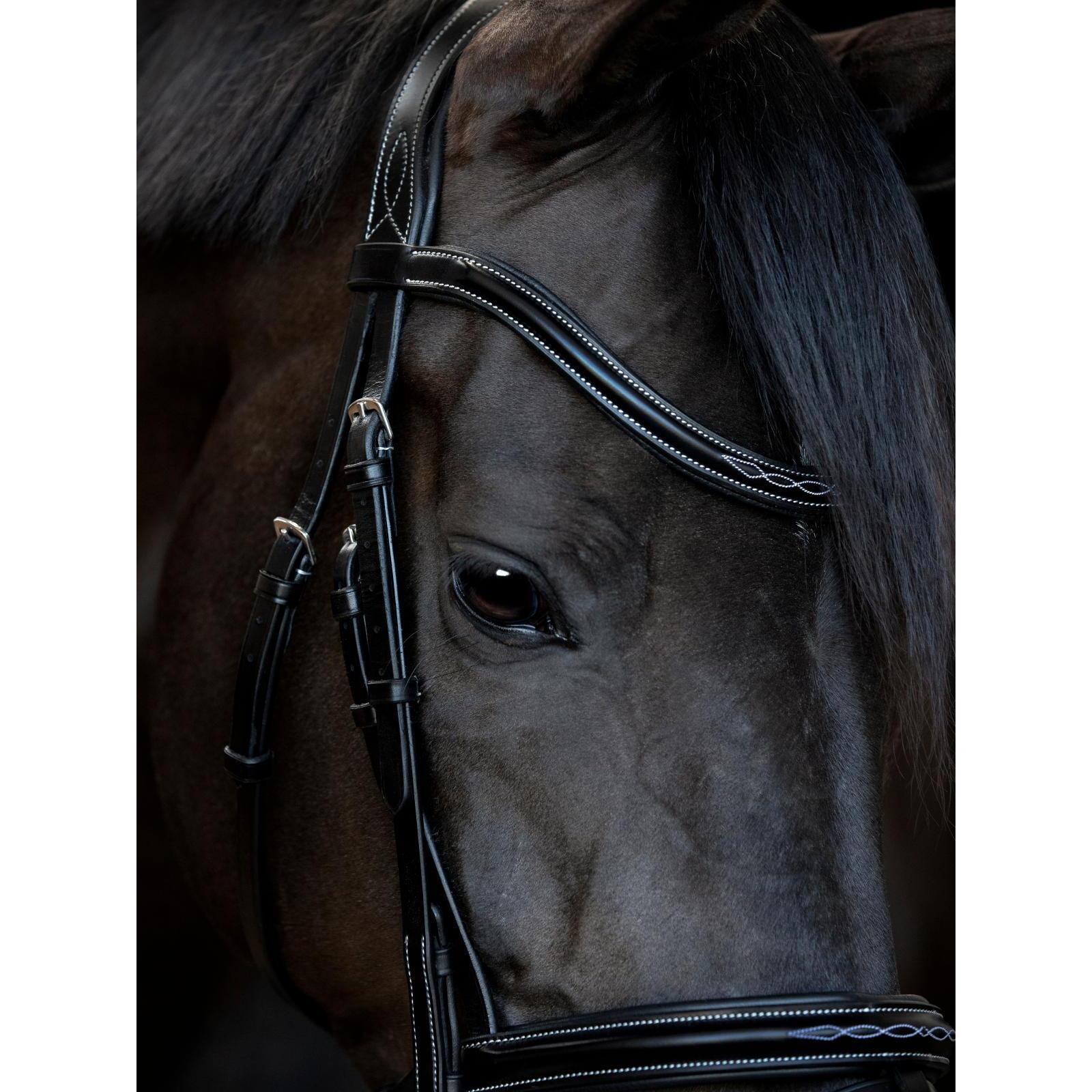 Cabezada para caballos Catago Torina 2/3