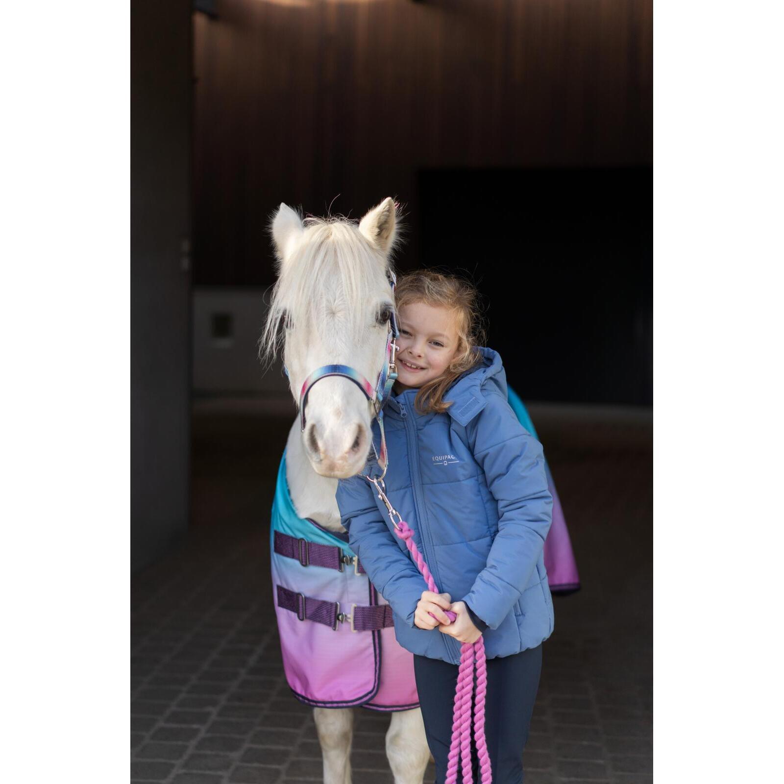 Licol pour cheval HorseGuard Gradient 3/4