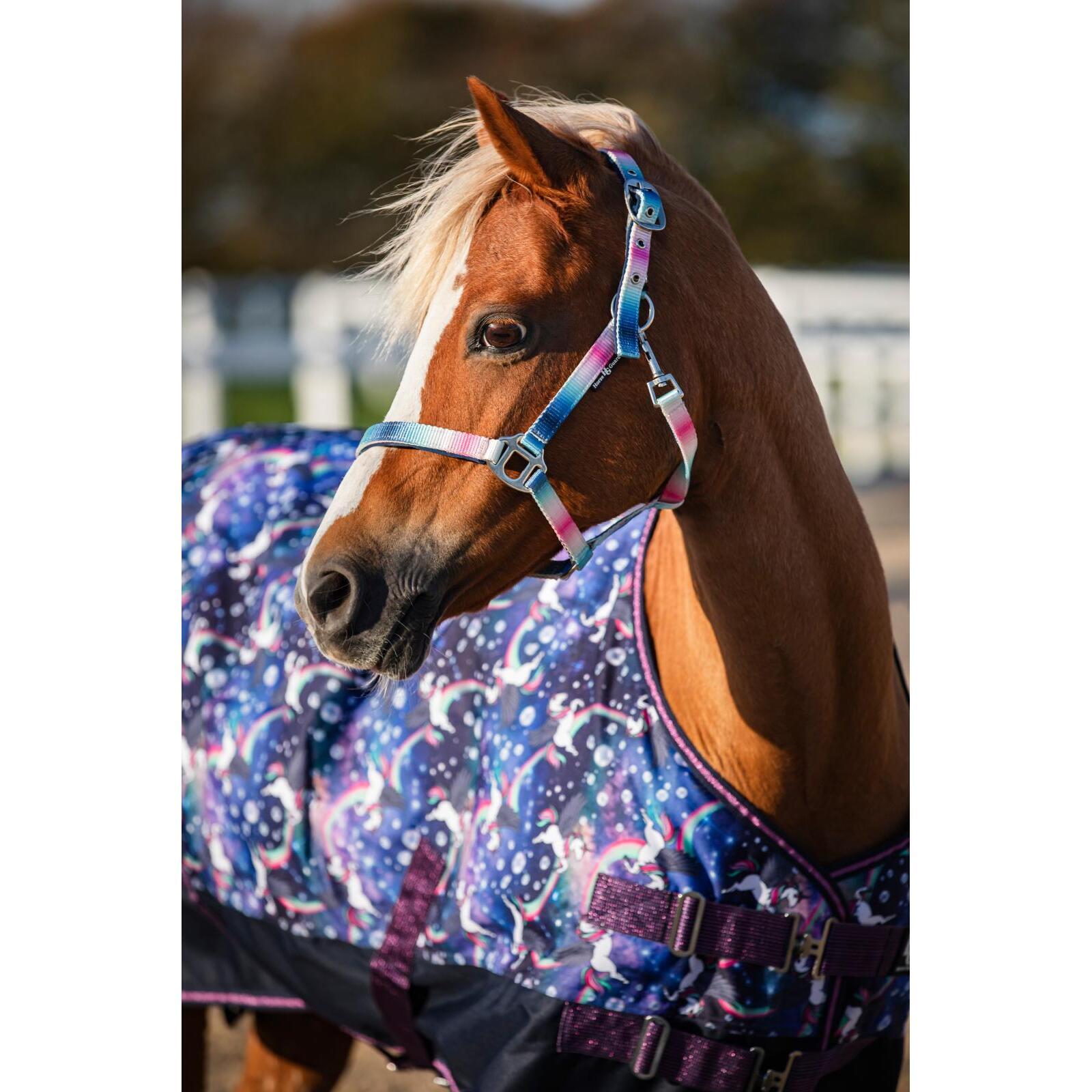 Licol pour cheval HorseGuard Gradient 2/4