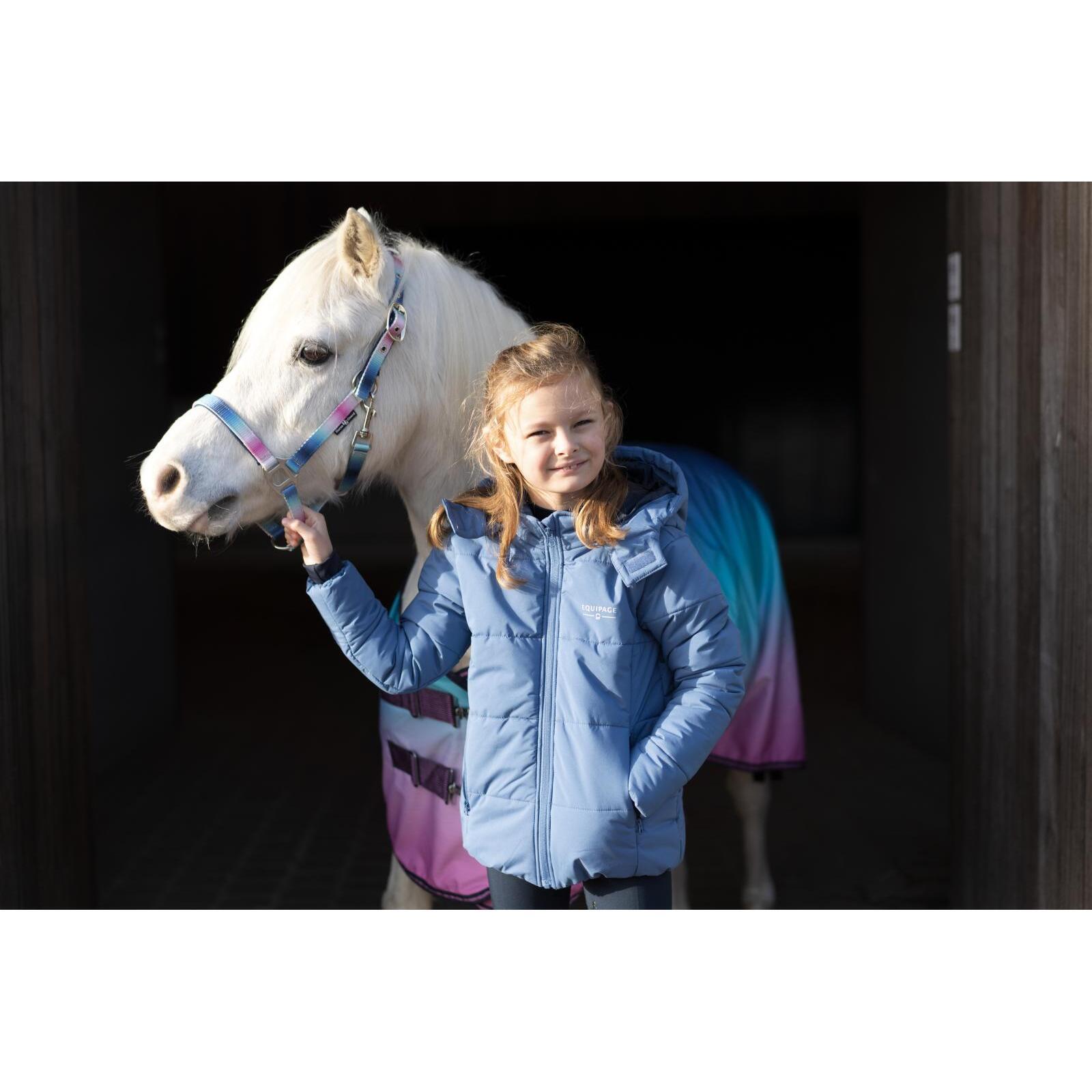 Licol pour cheval HorseGuard Gradient 4/4