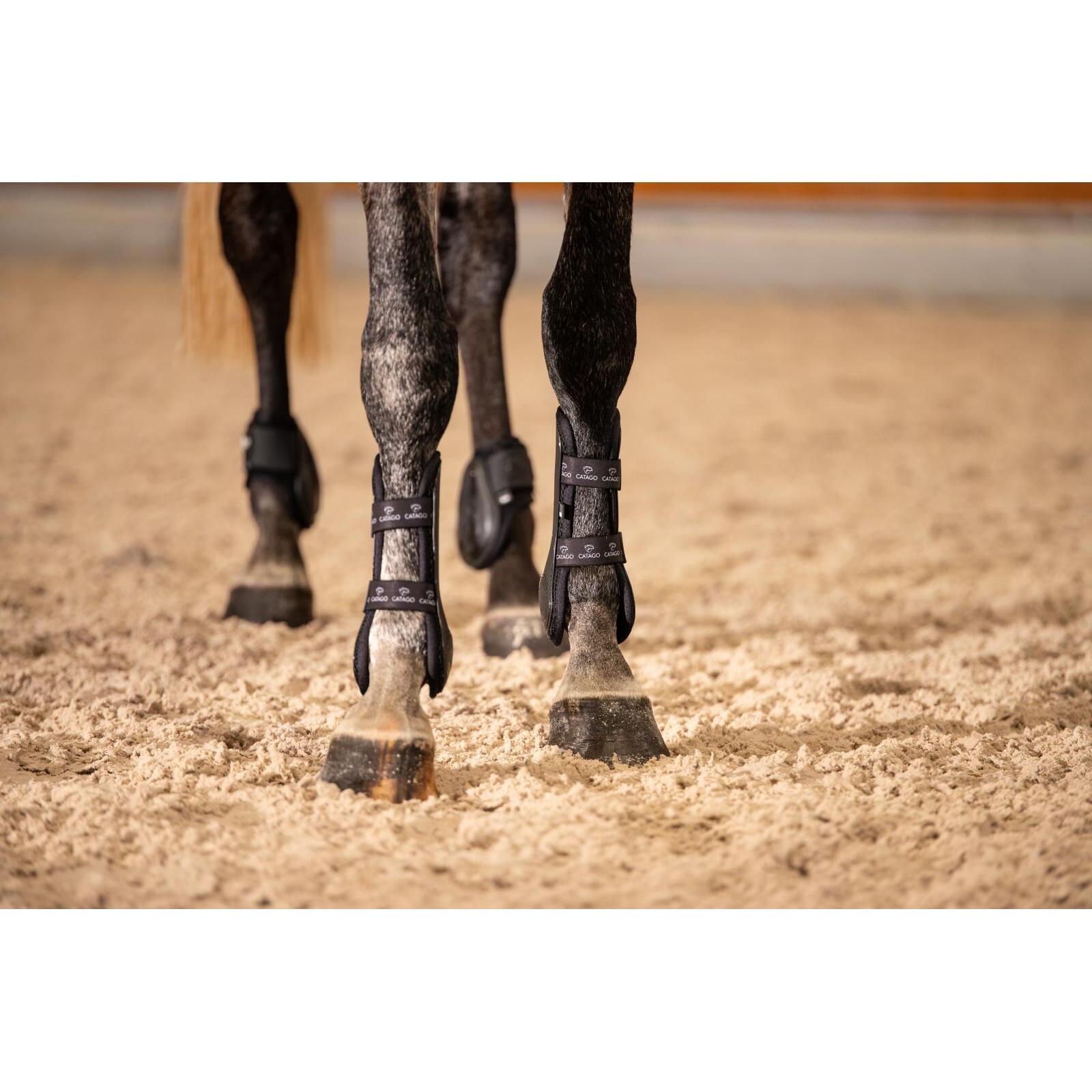 Protectores traseros abiertos para caballos Catago FIR-Tech 2/3