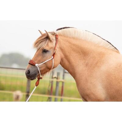 Cavezza in cuoio Edix Saddles Resi-lead