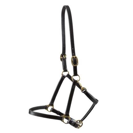 Licol pour cheval en cuir Premier Equine