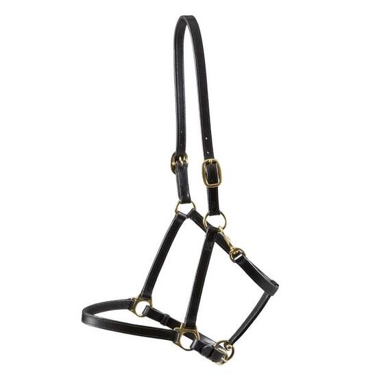 Licol pour cheval en cuir Premier Equine