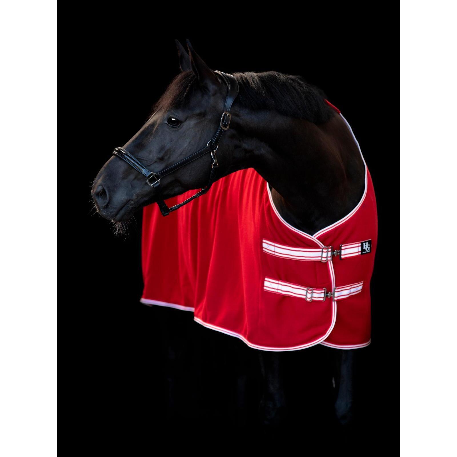 Drogende fleecedeken voor paarden HorseGuard Award 0g 2/3