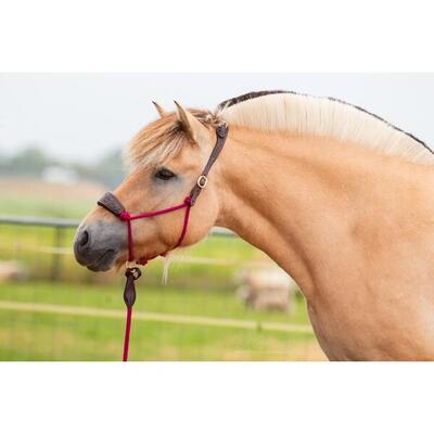 Cavezza in cuoio Edix Saddles Resi-workinglead