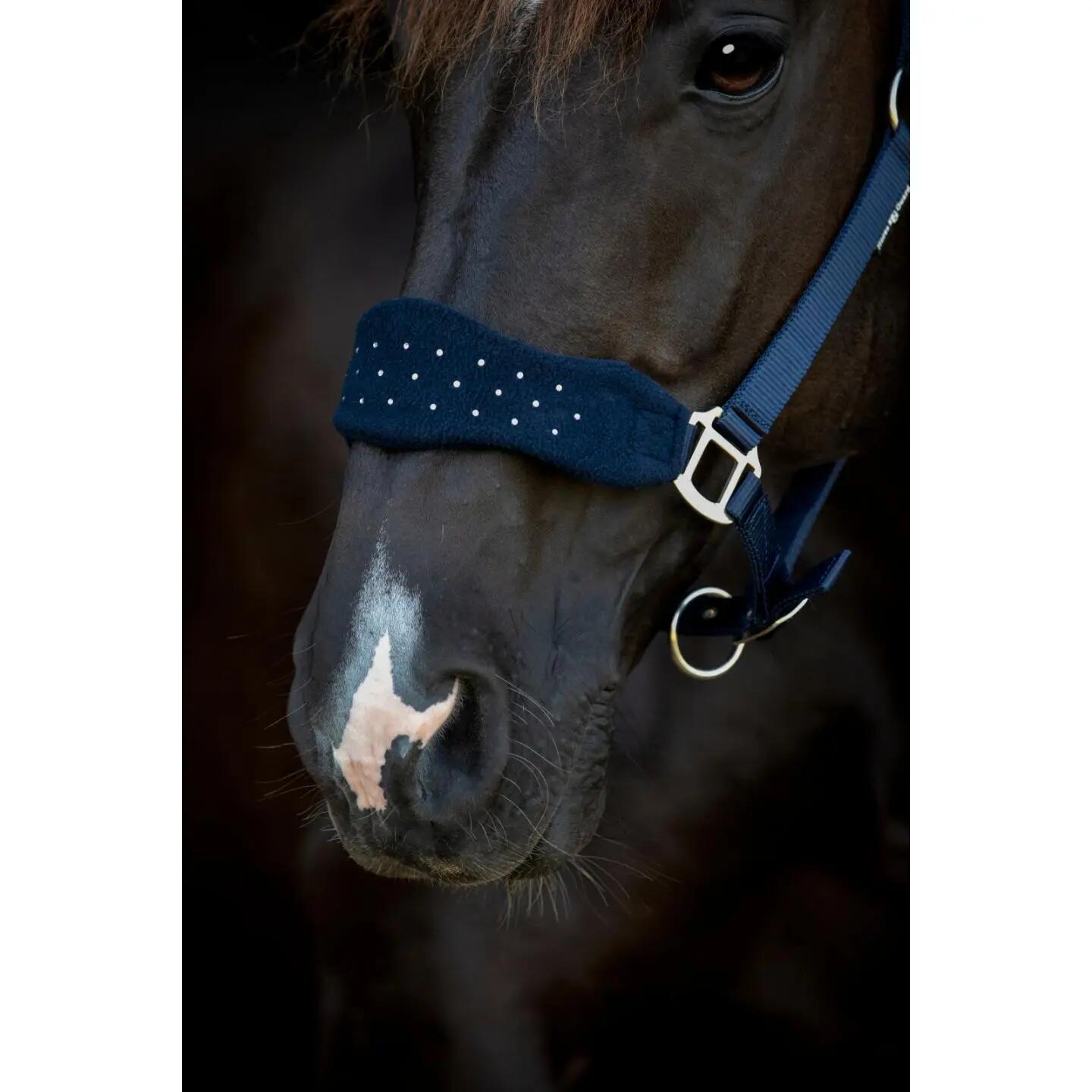 Licol pour cheval nylon HorseGuard Anabel 3/5