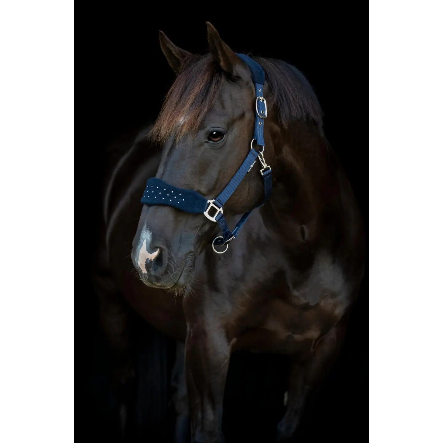 Licol pour cheval nylon HorseGuard Anabel 2/5