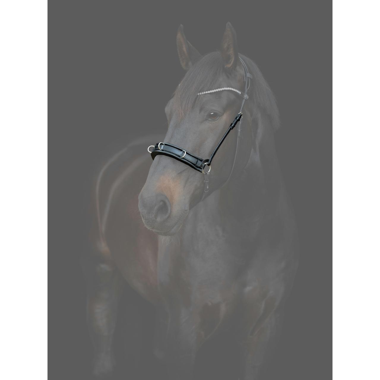 Caballeriza Catago Gentle 3/3