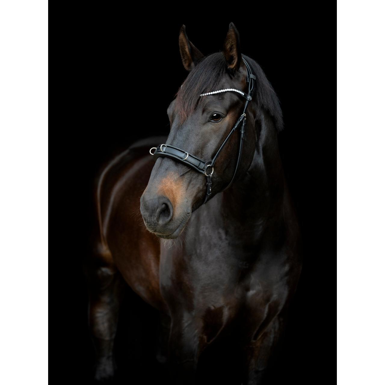 Caballeriza Catago Gentle 2/3