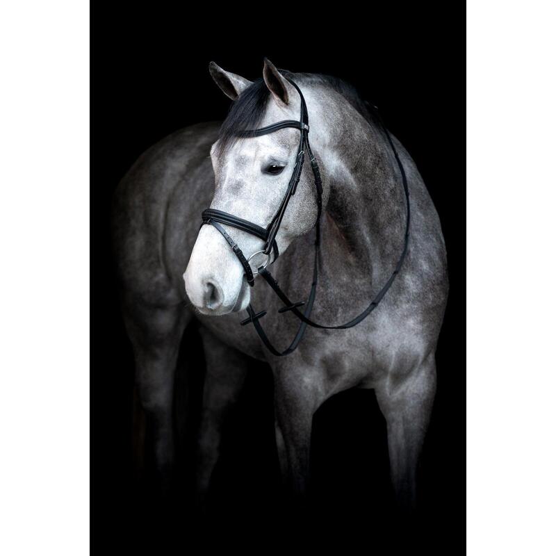 Bride HorseGuard Emi 24.2