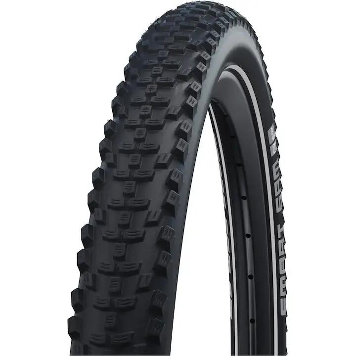 SCHWALBE picture