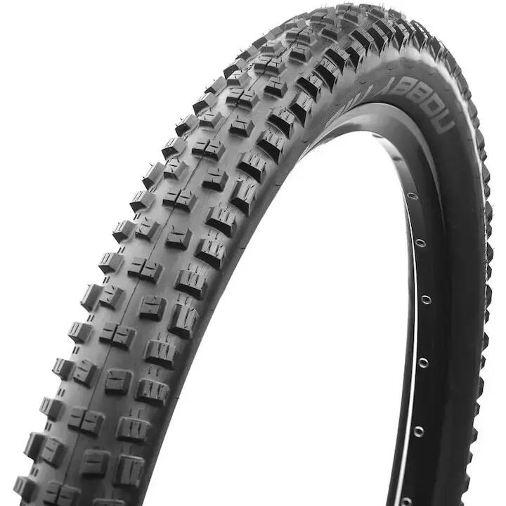 SCHWALBE picture