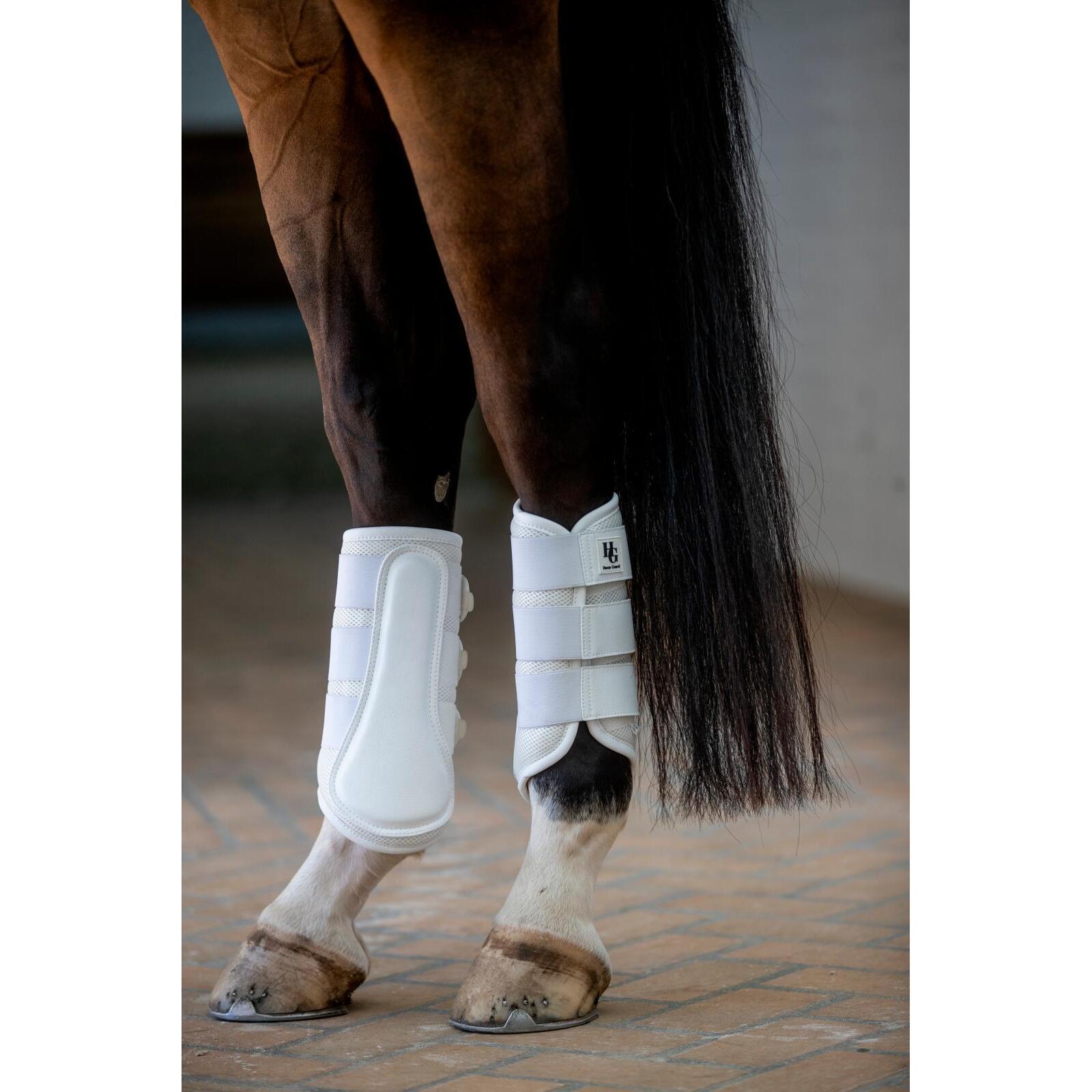 Pantalones de protección para caballo de malla HorseGuard Timothy 3/3