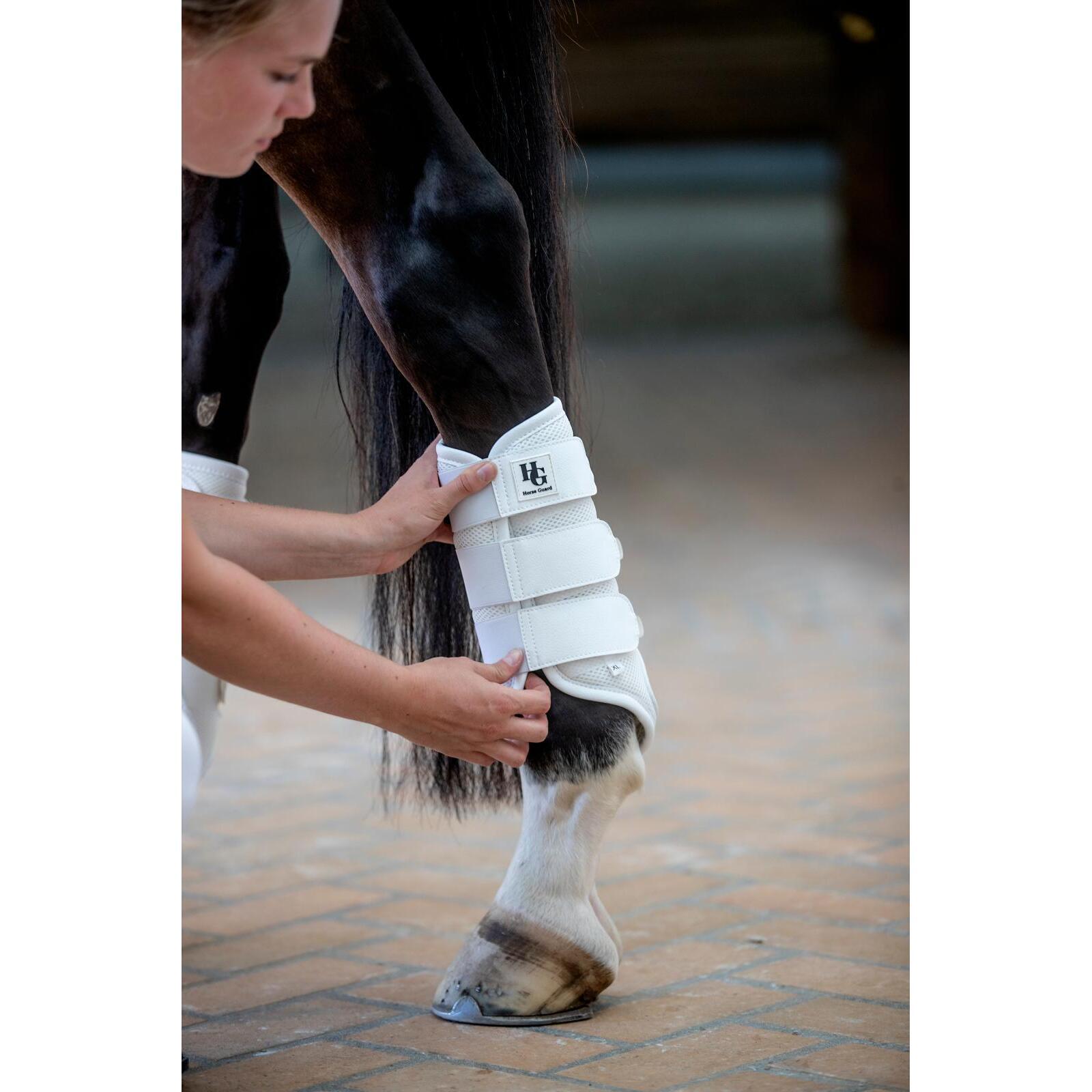 Pantalones de protección para caballo de malla HorseGuard Timothy 2/3