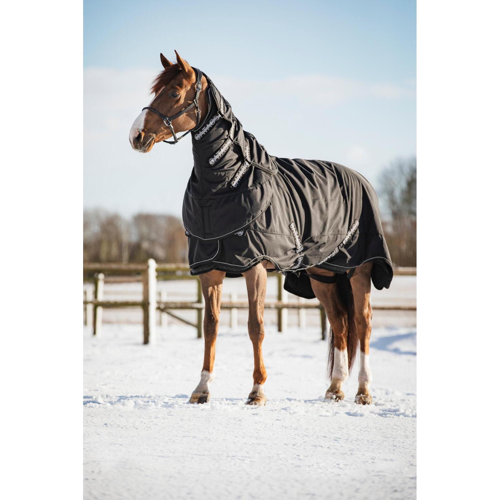 Cubre cuello para caballo Catago FIR-Tech 200g 2/3