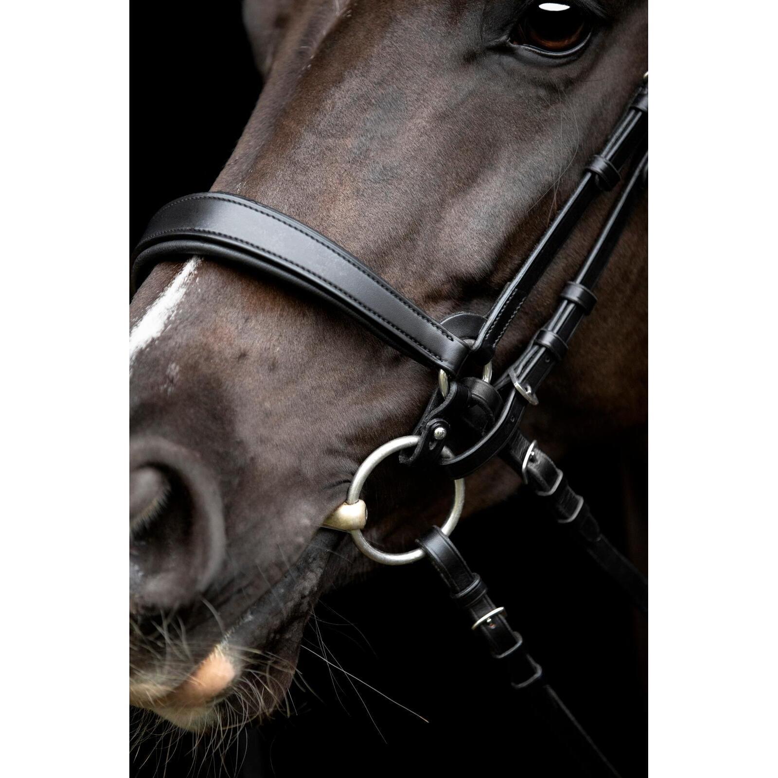Bride équitation Catago Gentle Connecting Rings 2/3