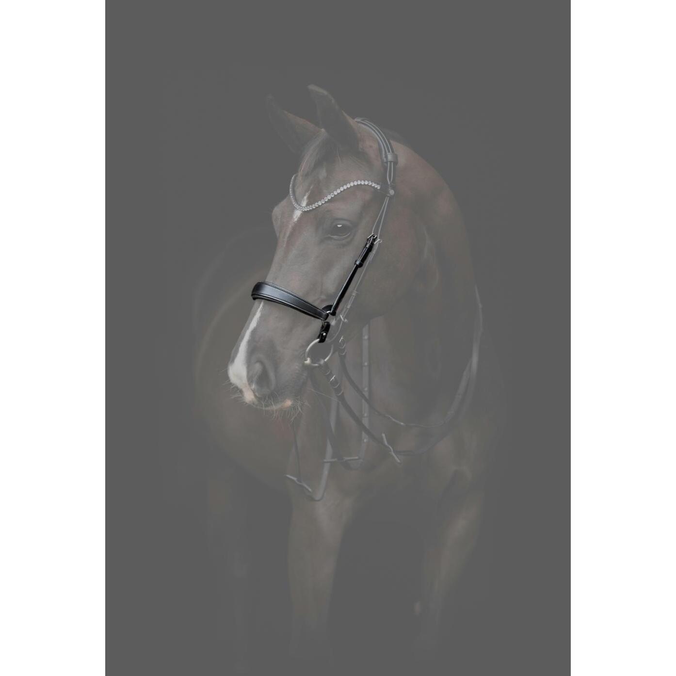 Muserola de caballo de cuero Catago Gentle 3/3