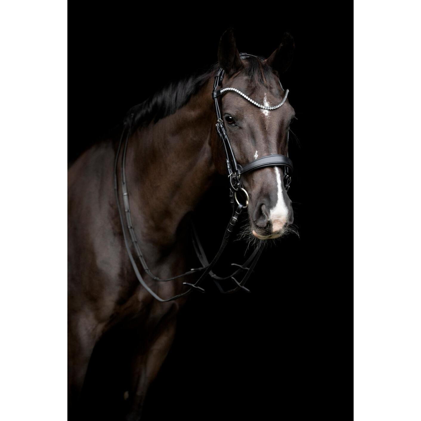 Muserola de caballo de cuero Catago Gentle 2/3