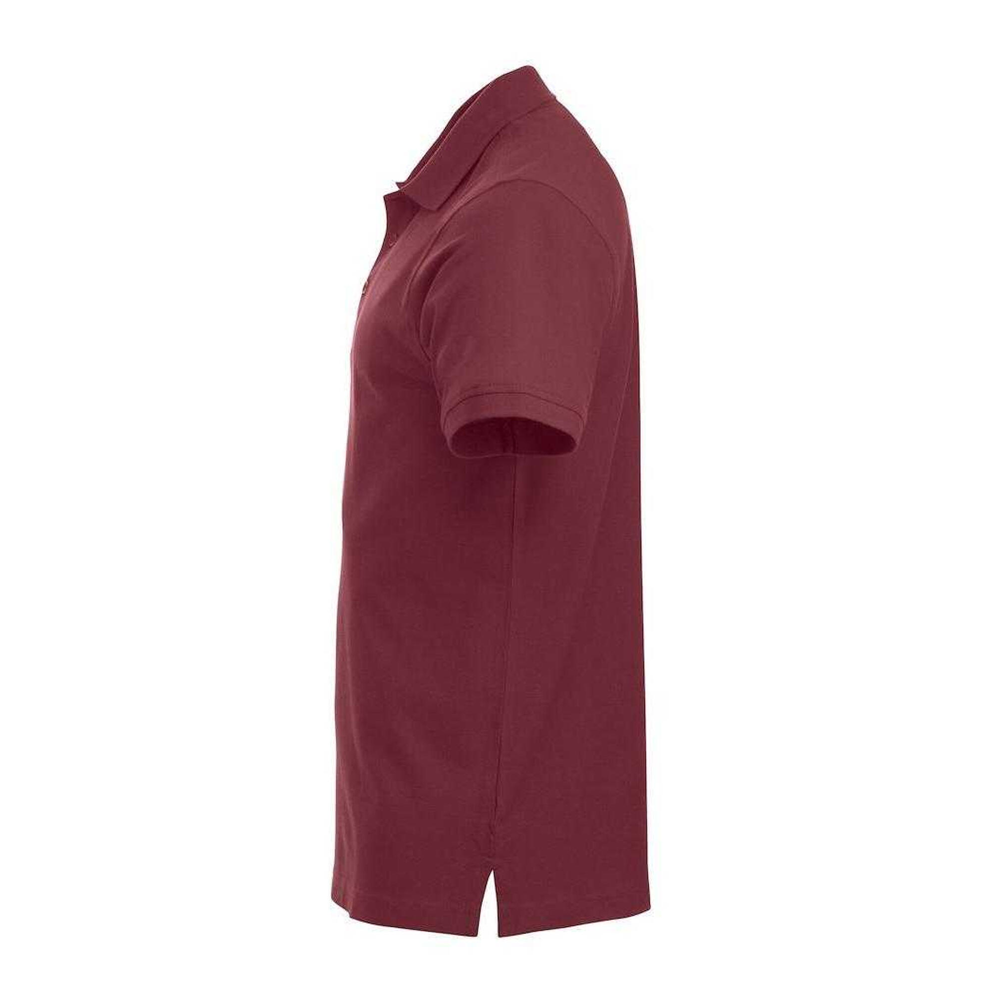 Polo CLASSIC LINCOLN Homme (Bordeaux) 3/3
