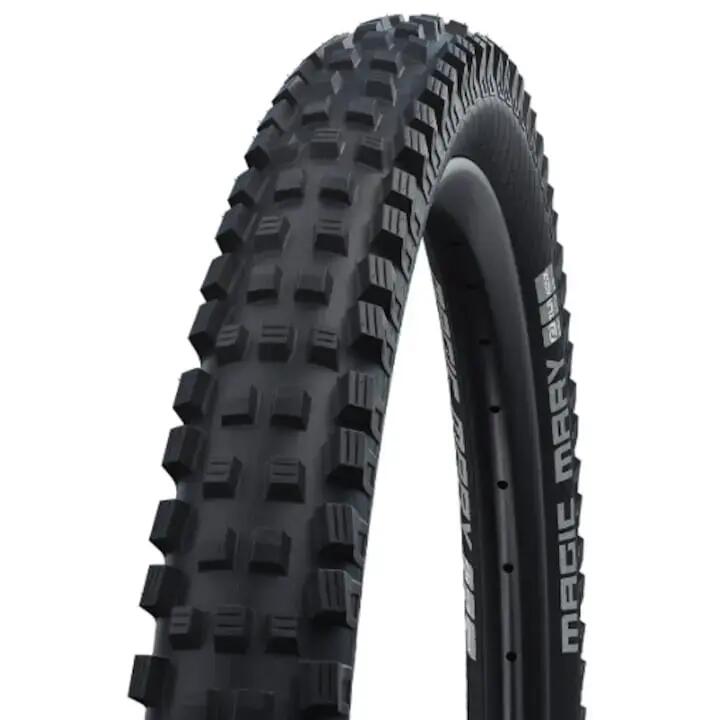 SCHWALBE picture