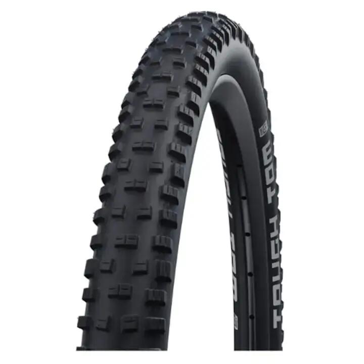 SCHWALBE picture