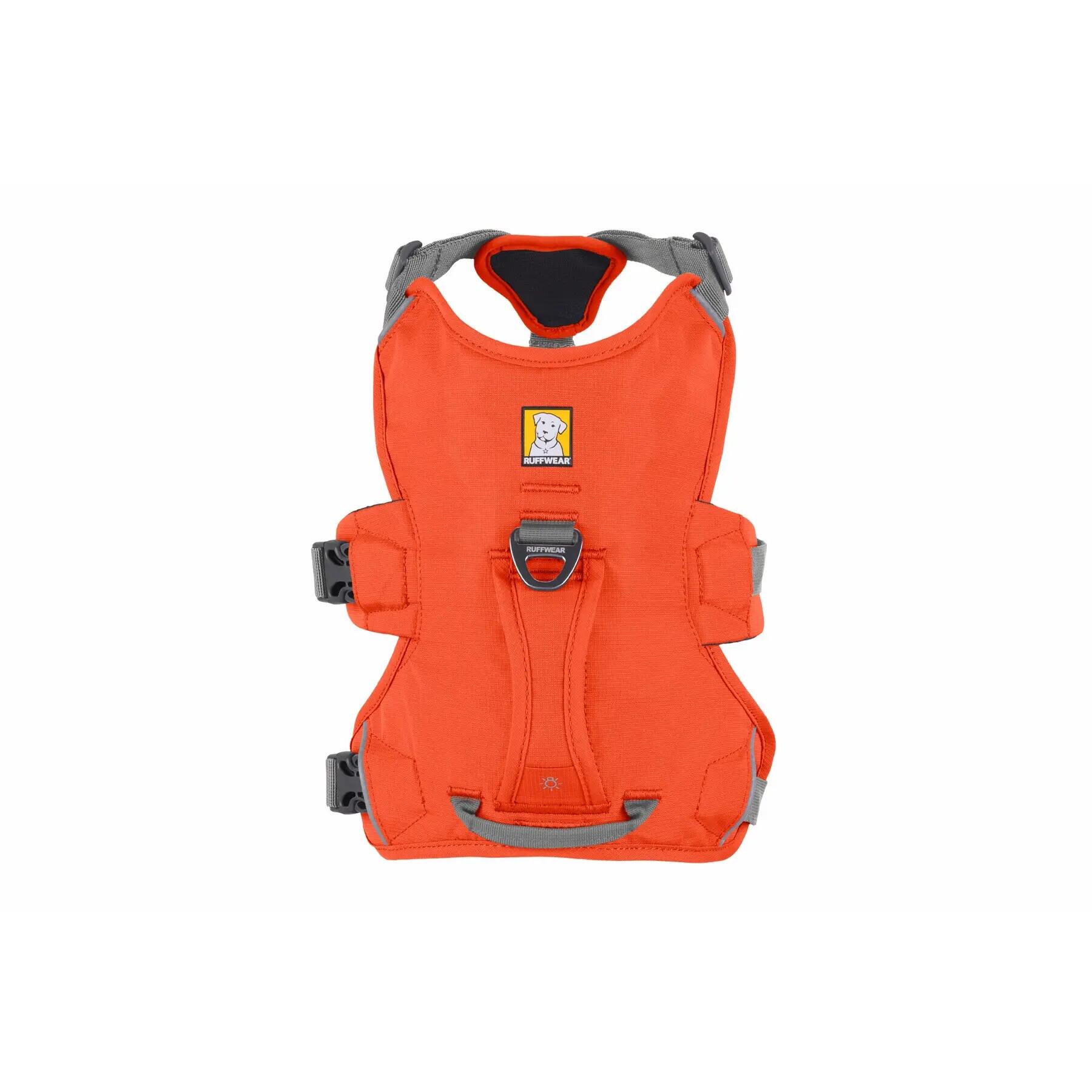 Harnais pour chien Ruffwear Web Master 3/5