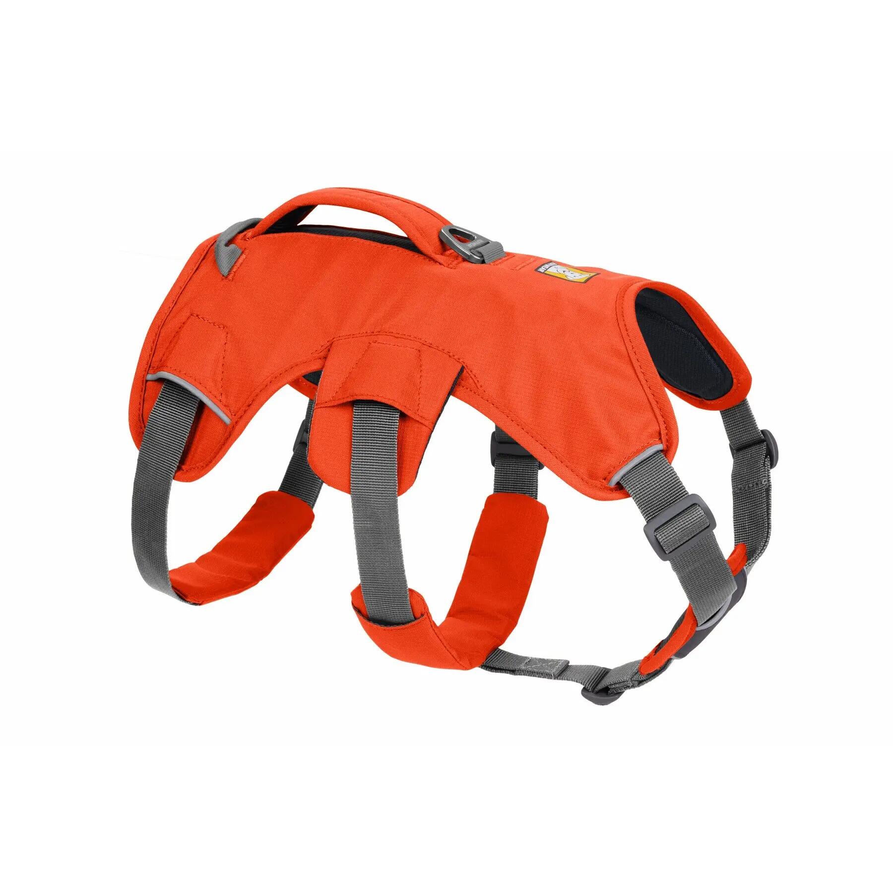 Harnais pour chien Ruffwear Web Master 2/5
